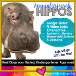 Hippos ... 5 days of animal research mixed w/ literacy skills, videos, & FUN